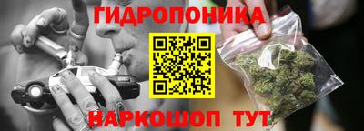 шишки Уссурийск
